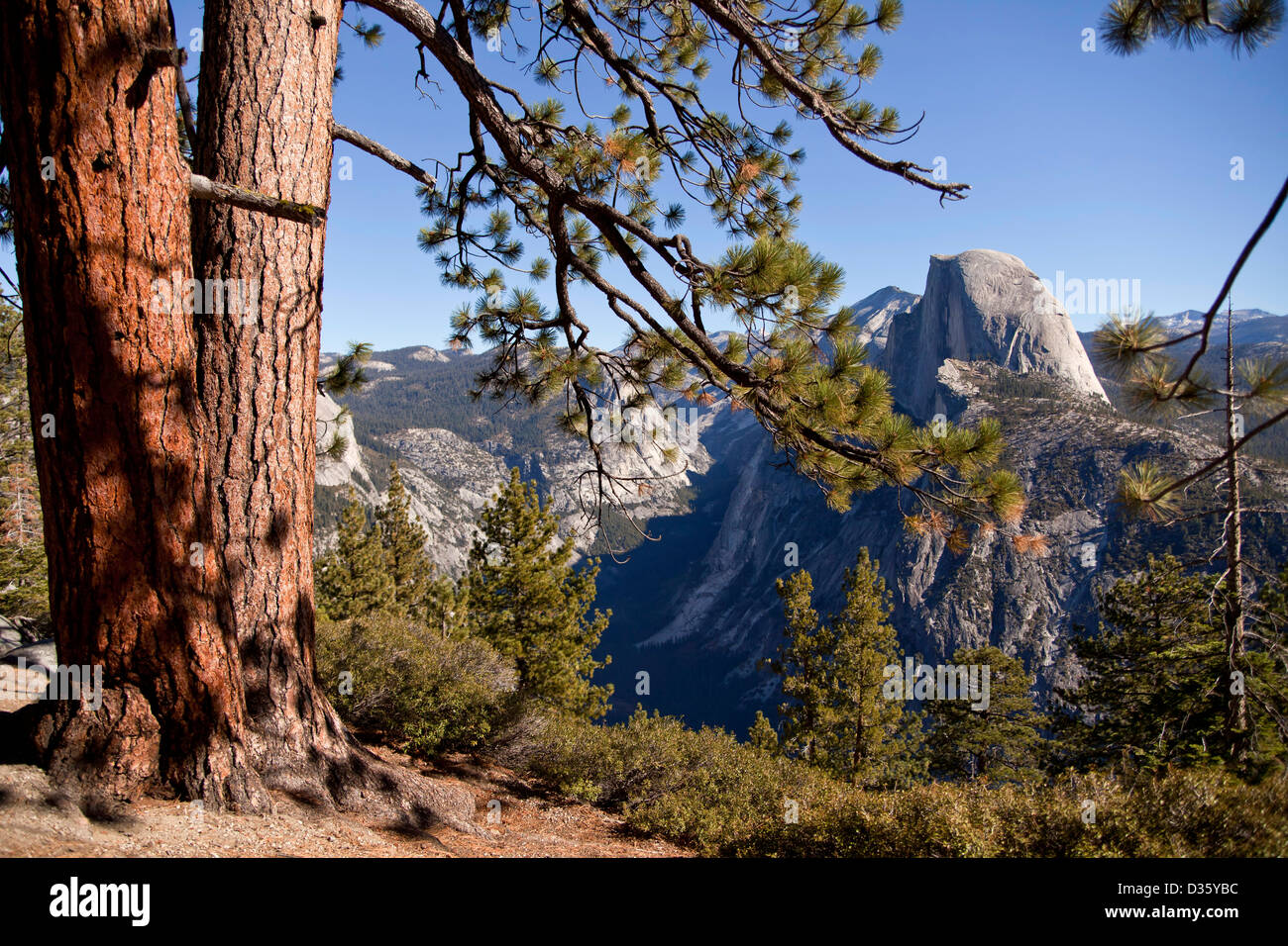 Yosemite valley with Half Dome at Yosemite National park, California, United States of America, USA Stock Photo