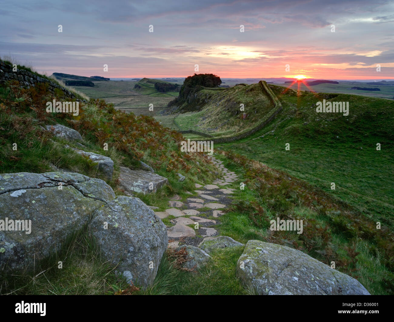 The Roman Wall at dawn looking towards the rising sun in the East near Housesteads Roman fort in Northumberland Stock Photo
