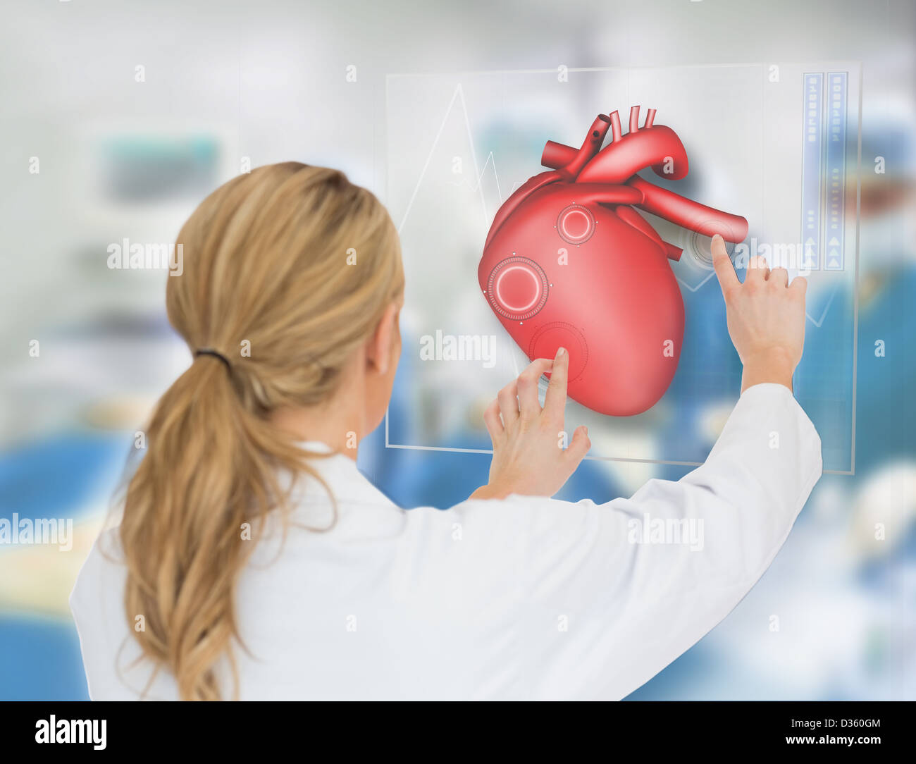 3d heart diagram hi-res stock photography and images - Alamy