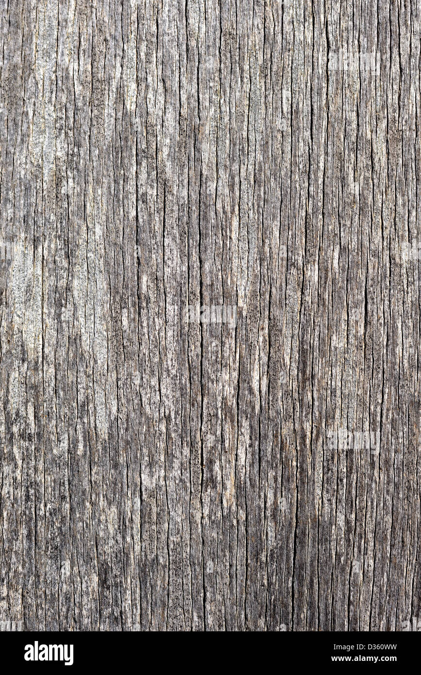 wood textured background Stock Photo