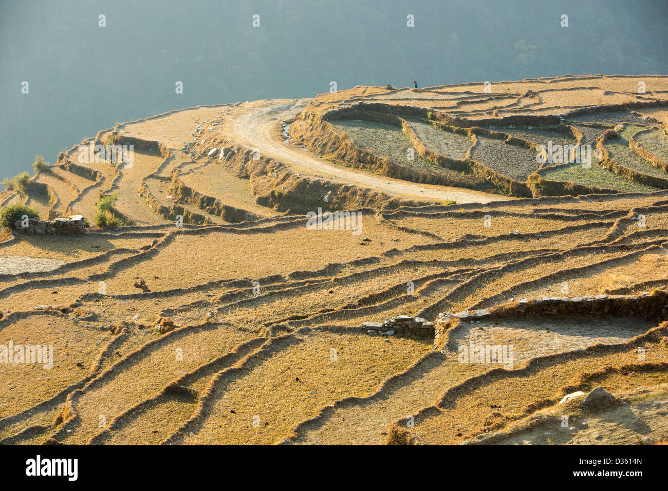 Subsistence farming in the Annapurna Himalayas in Nepal. The terracing has been developed over centuries Stock Photo