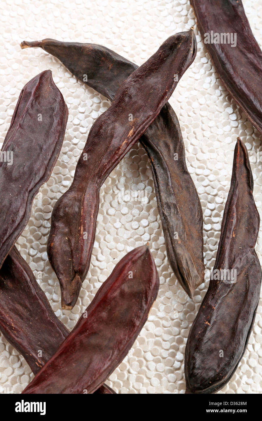 Dried carob pods hires stock photography and images Alamy