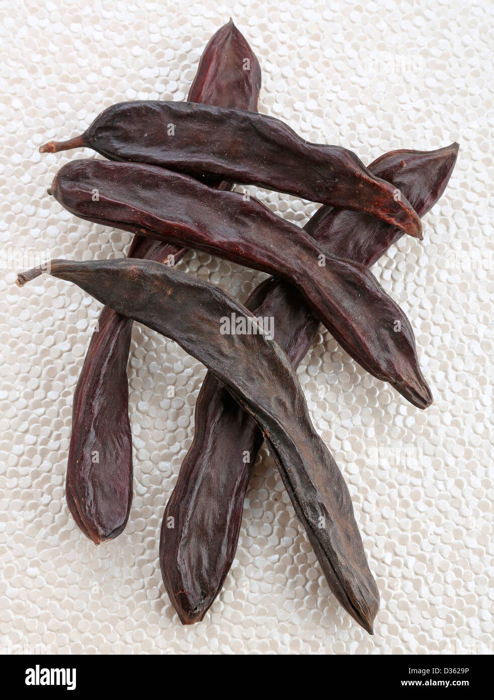 CAROB PODS Stock Photo