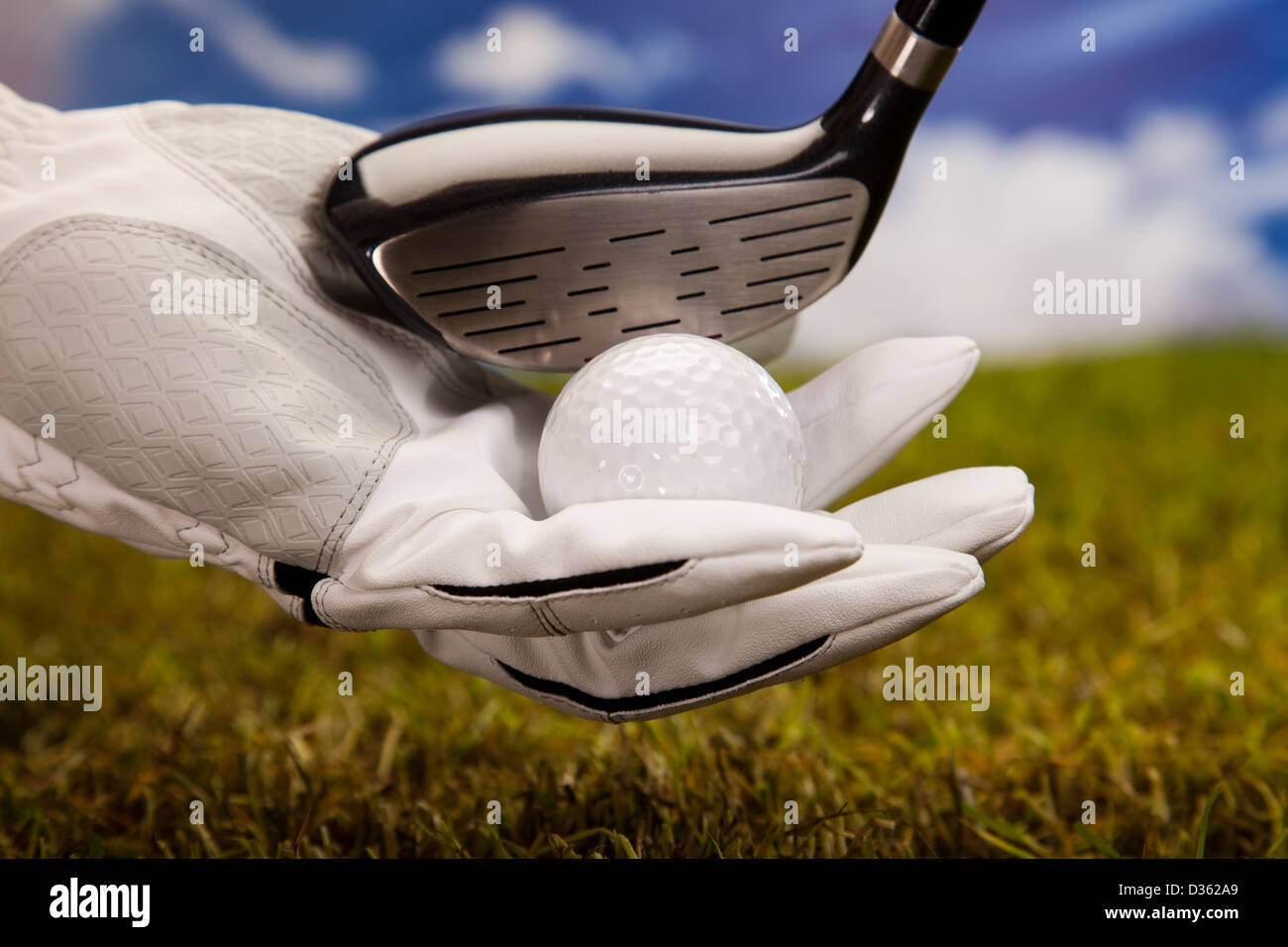 Hand hold golf ball Stock Photo Alamy