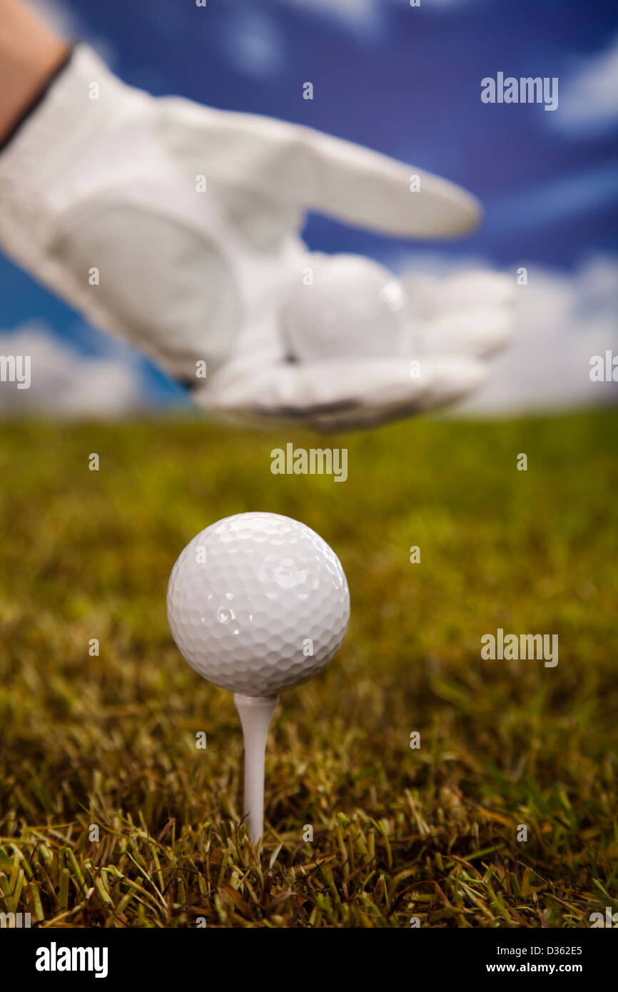 Hand hold golf ball Stock Photo Alamy