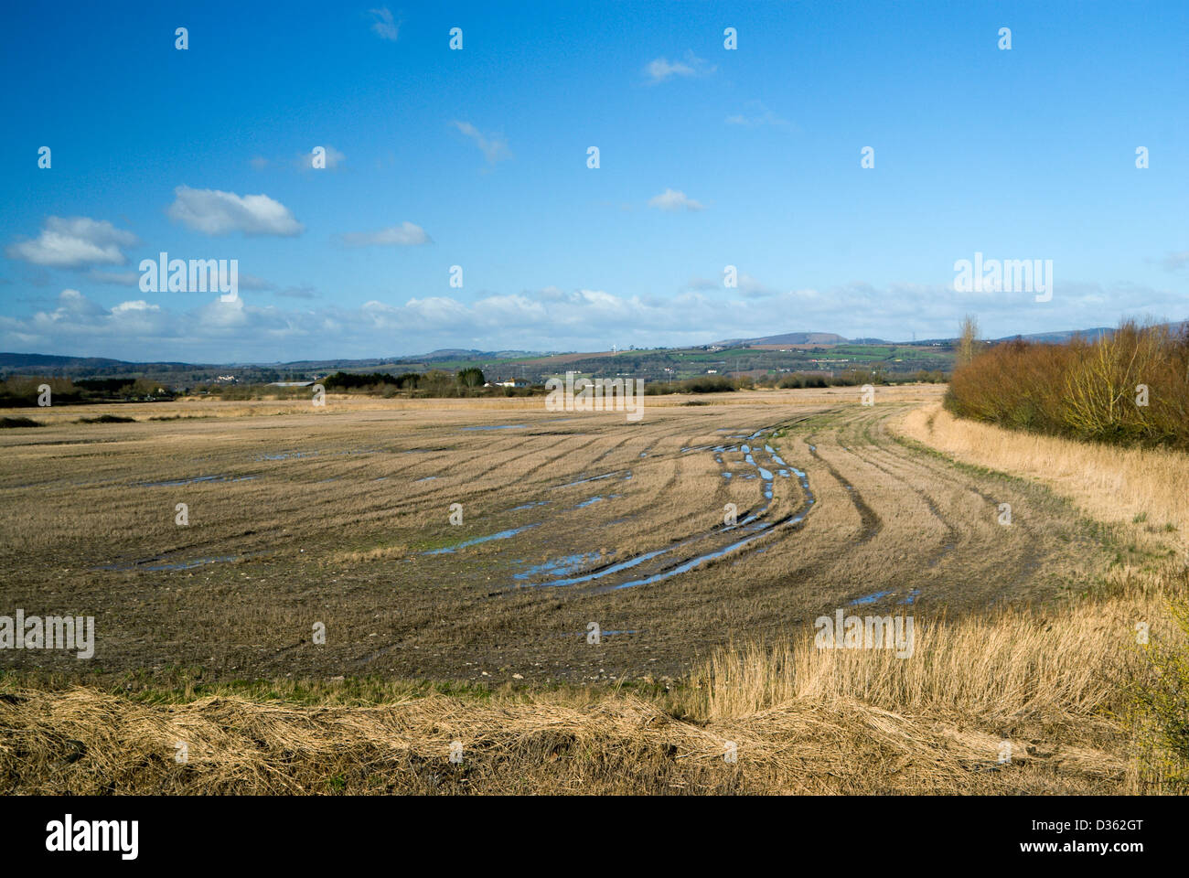 farm land peterstone wentlooge gwent levels between cardiff and newport south wales uk Stock Photo