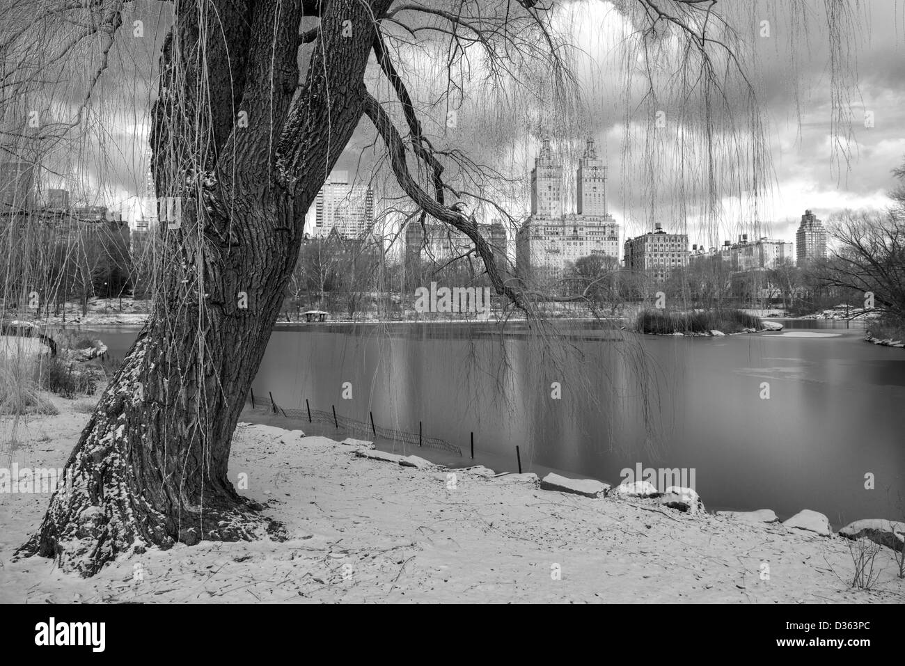 Central Park, New York City Stock Photo Alamy