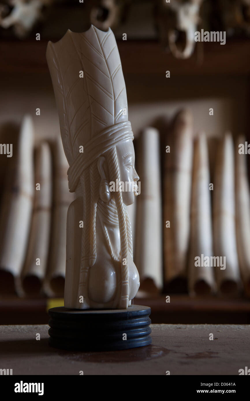 CAMEROON, 3rd October 2012: Carved Ivory and elephant tusks confiscated by the Ministry of Forests and Wildlife. Stock Photo