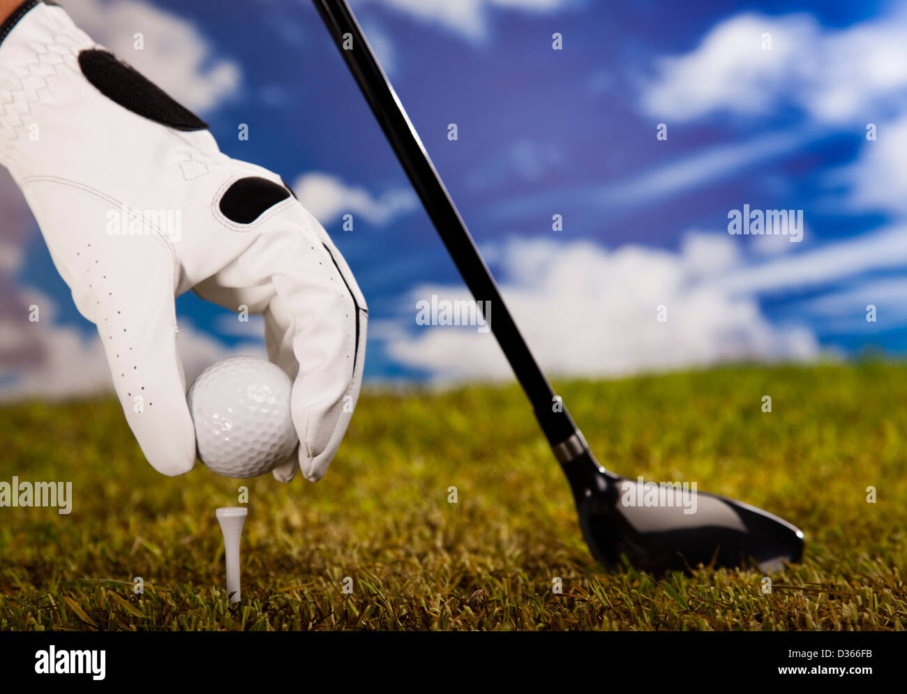Playing golf, ball on tee Stock Photo Alamy