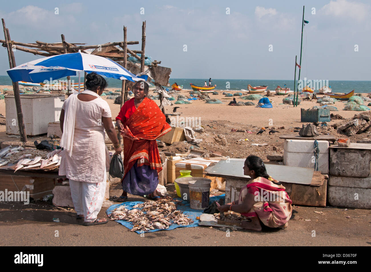 Fish Market Fishmonger Fishing Port Chennai ( Madras ) India Tamil Nadu Stock Photo Alamy
