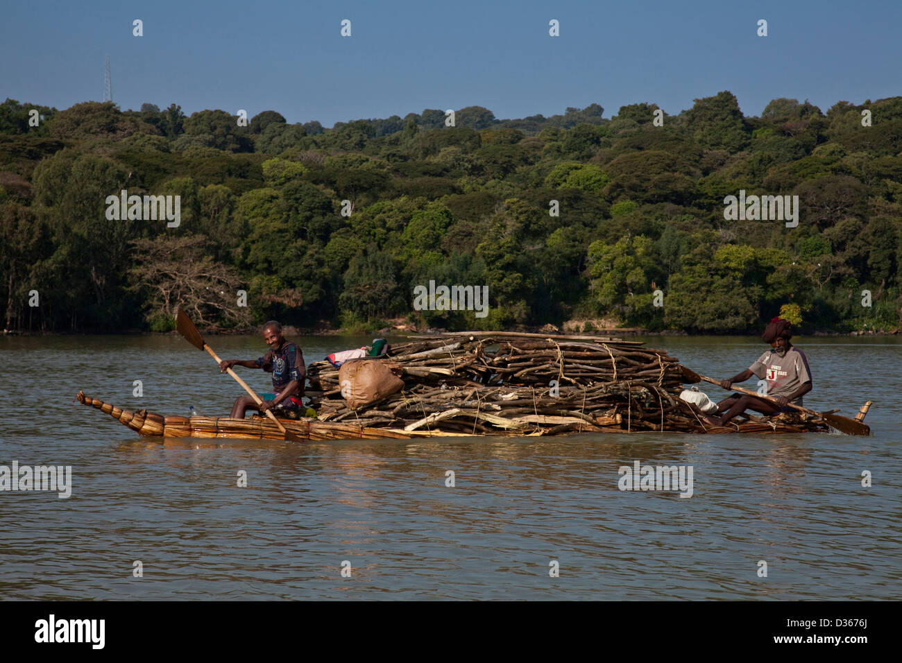 Local men transport wood across Lake Tana by Tankwa (Papyrus Boat), from the Zege Peninsular to Bahir Dar, Lake Tana, Ethiopia Stock Photo