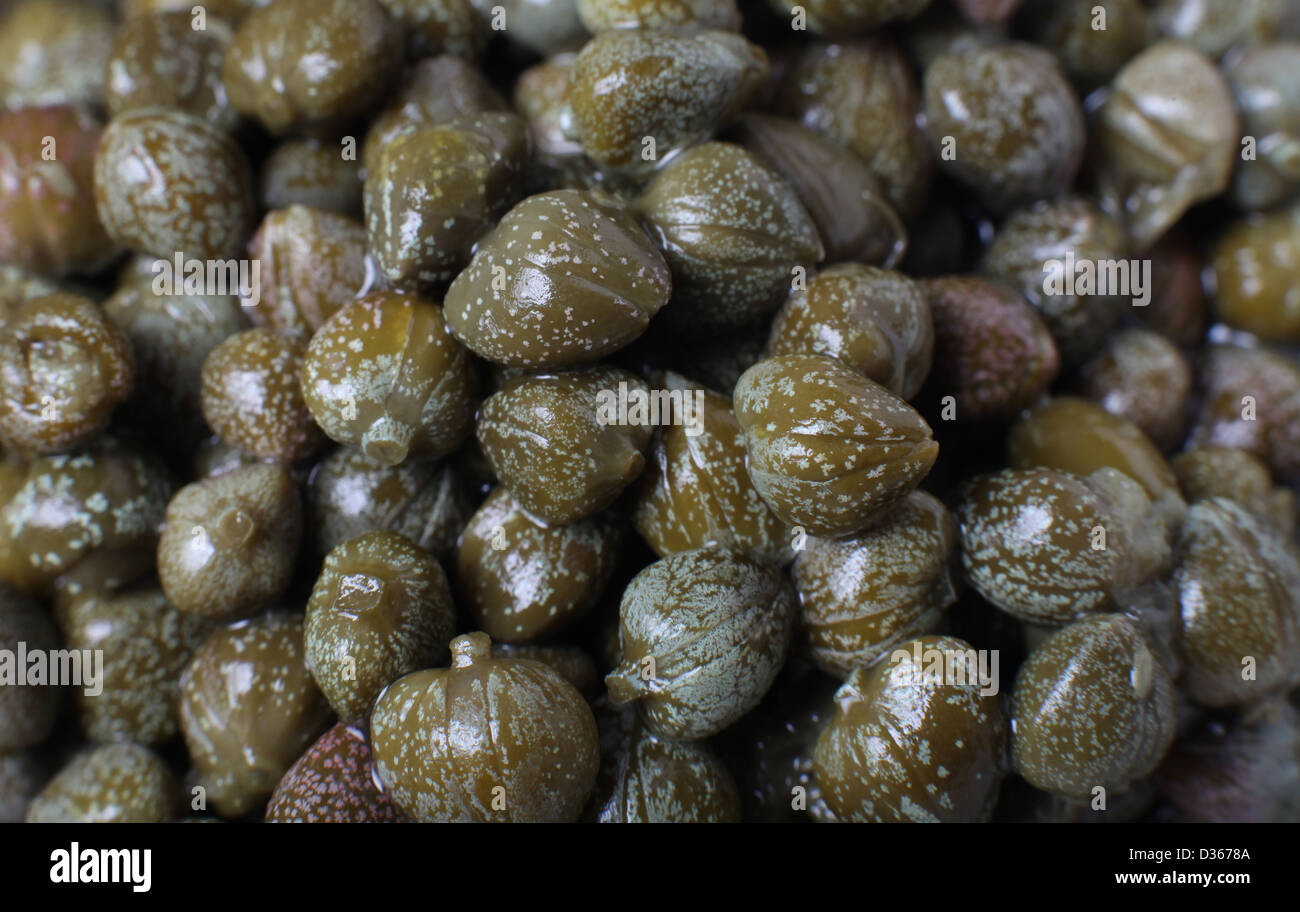 Caper Berries pickled in vinegar Stock Photo - Alamy