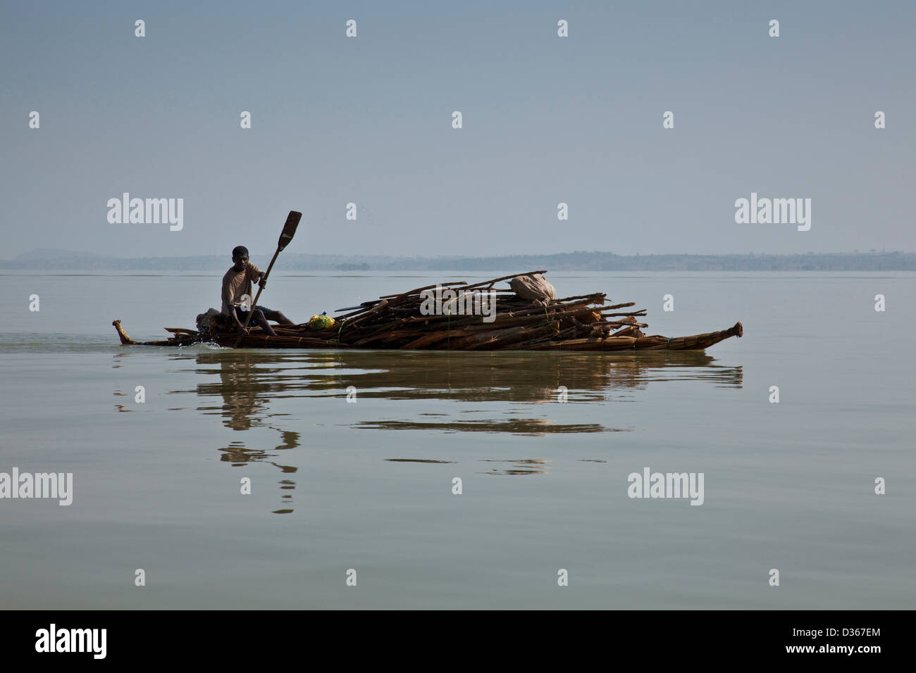Local man transports wood across Lake Tana by Tankwa (Papyrus Boat), from the Zege Peninsular to Bahir Dar, Lake Tana, Ethiopia Stock Photo