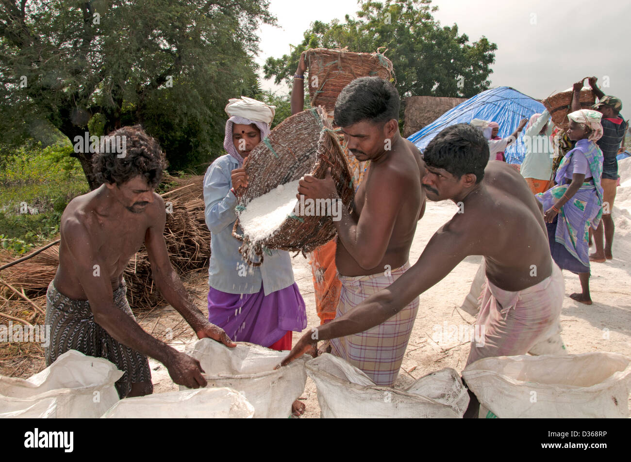 Puducherry ( Pondicherry ) India Tamil Nadu  Salt production Stock Photo