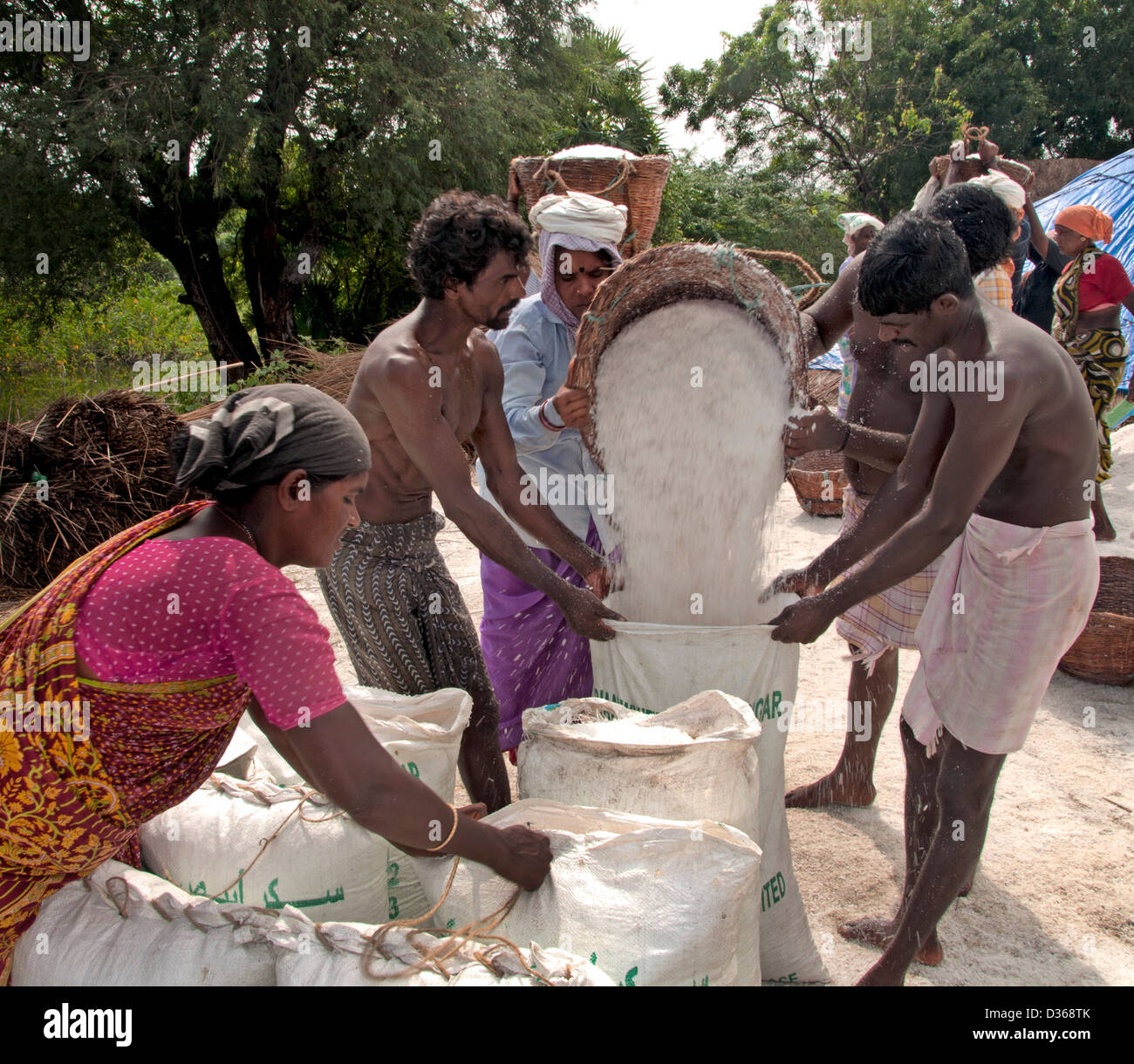 Puducherry ( Pondicherry ) India Tamil Nadu  Salt production Stock Photo