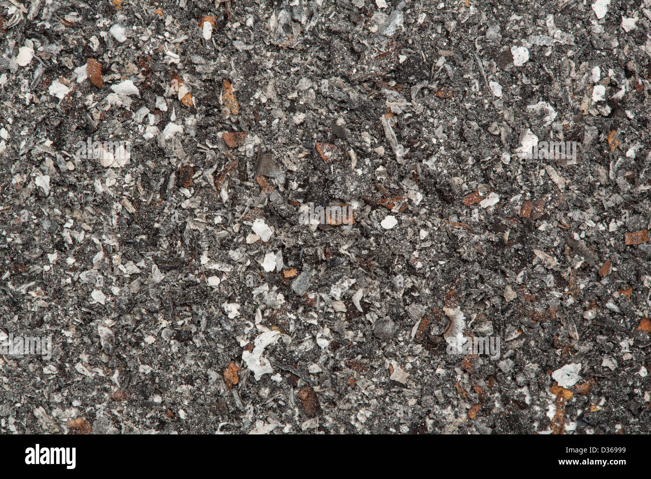 Ash close hi-res stock photography and images - Alamy