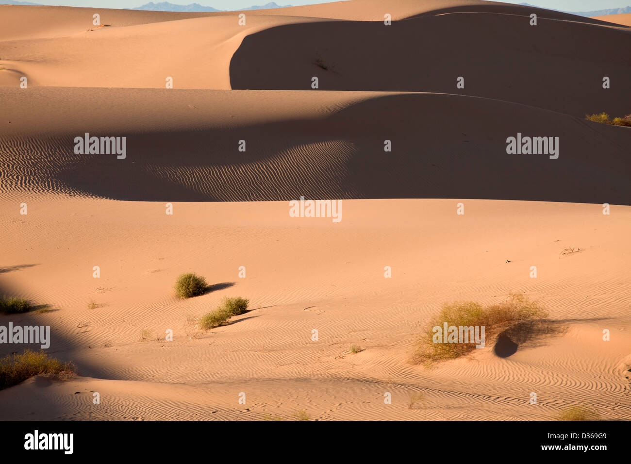Algodones Dunes or Imperial Sand Dunes, Imperial County, California