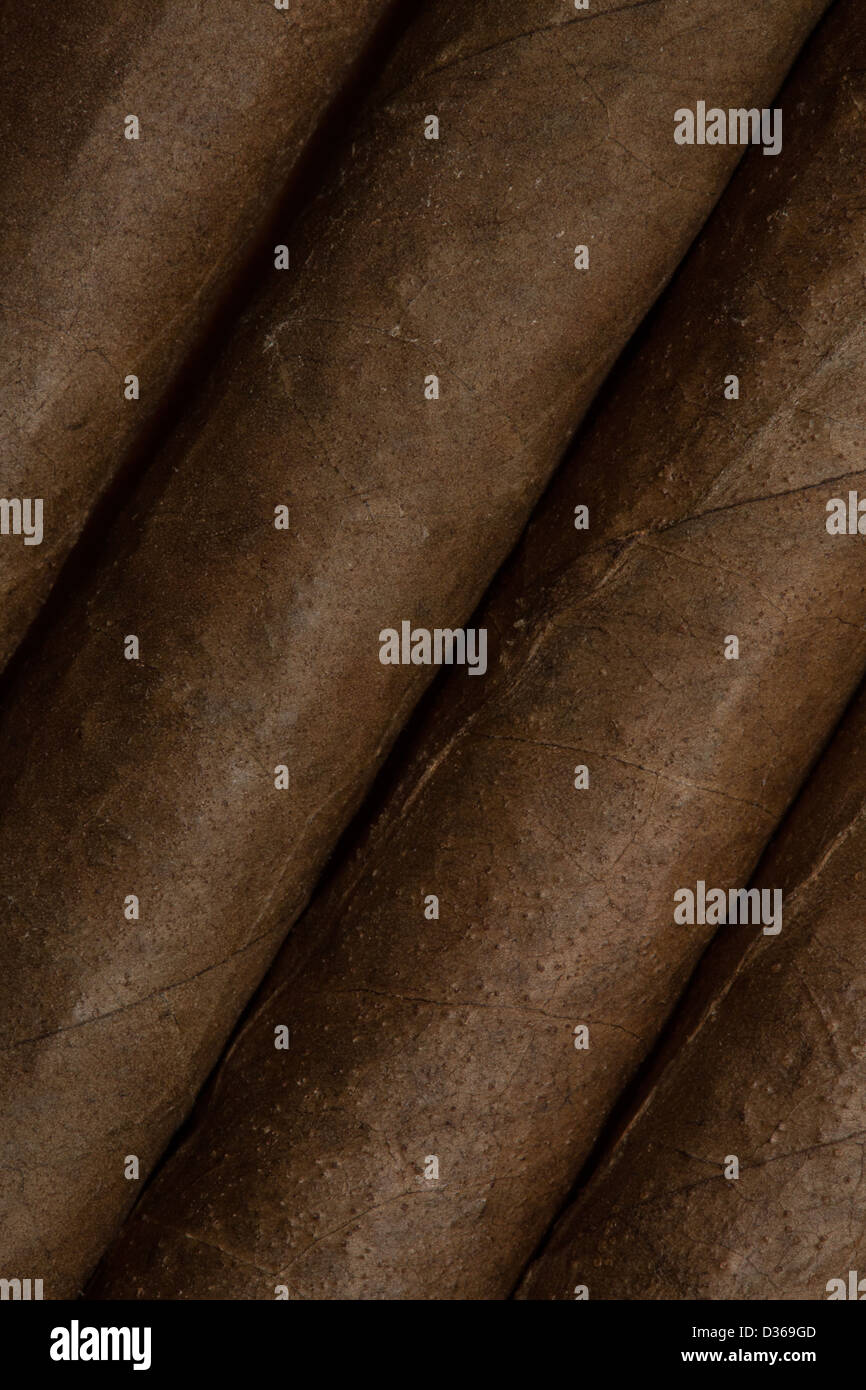Close up of cigars Stock Photo
