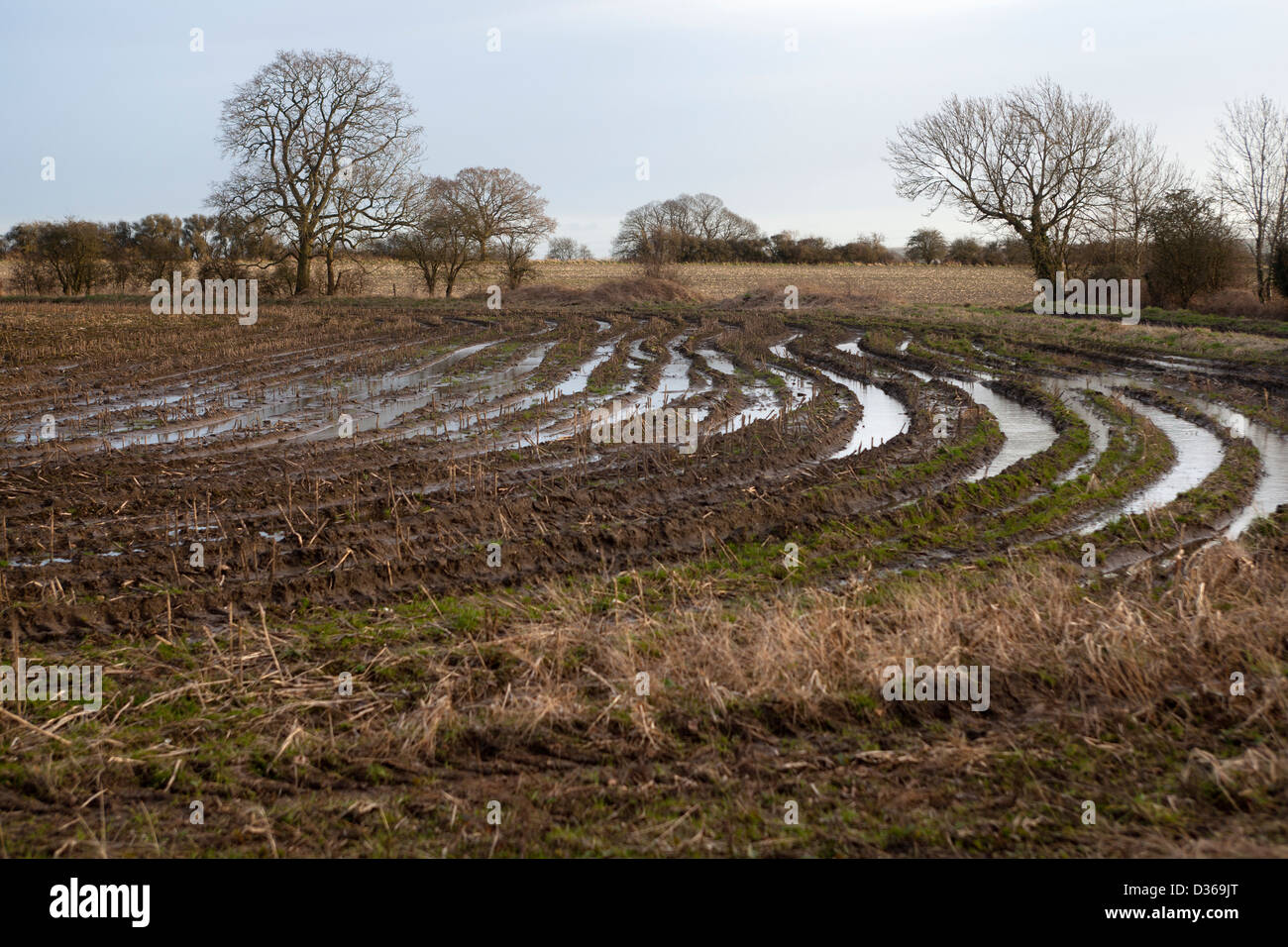Flooded Farm Fields Stock Photo Alamy