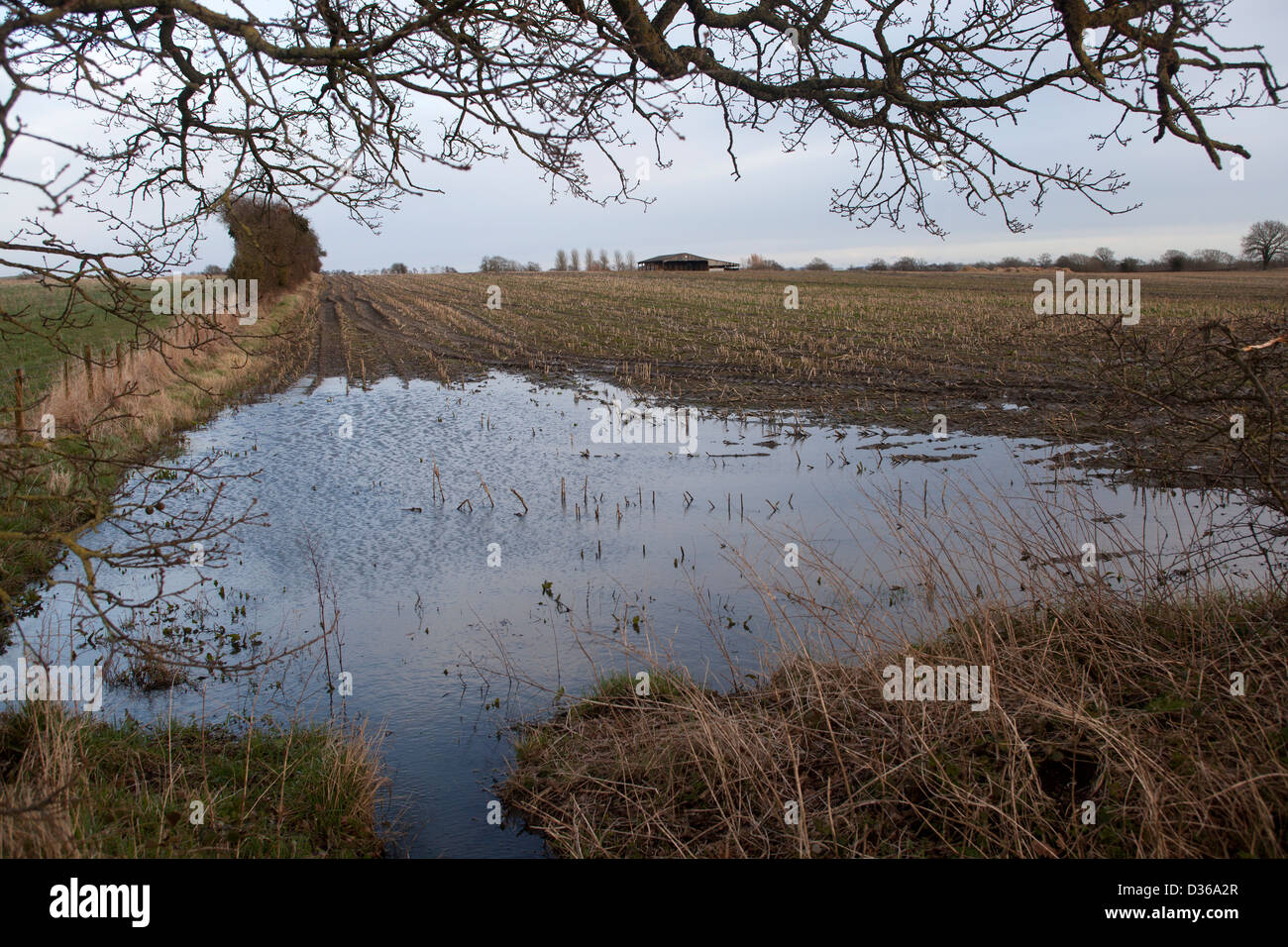 Flooded Farm Fields Stock Photo Alamy