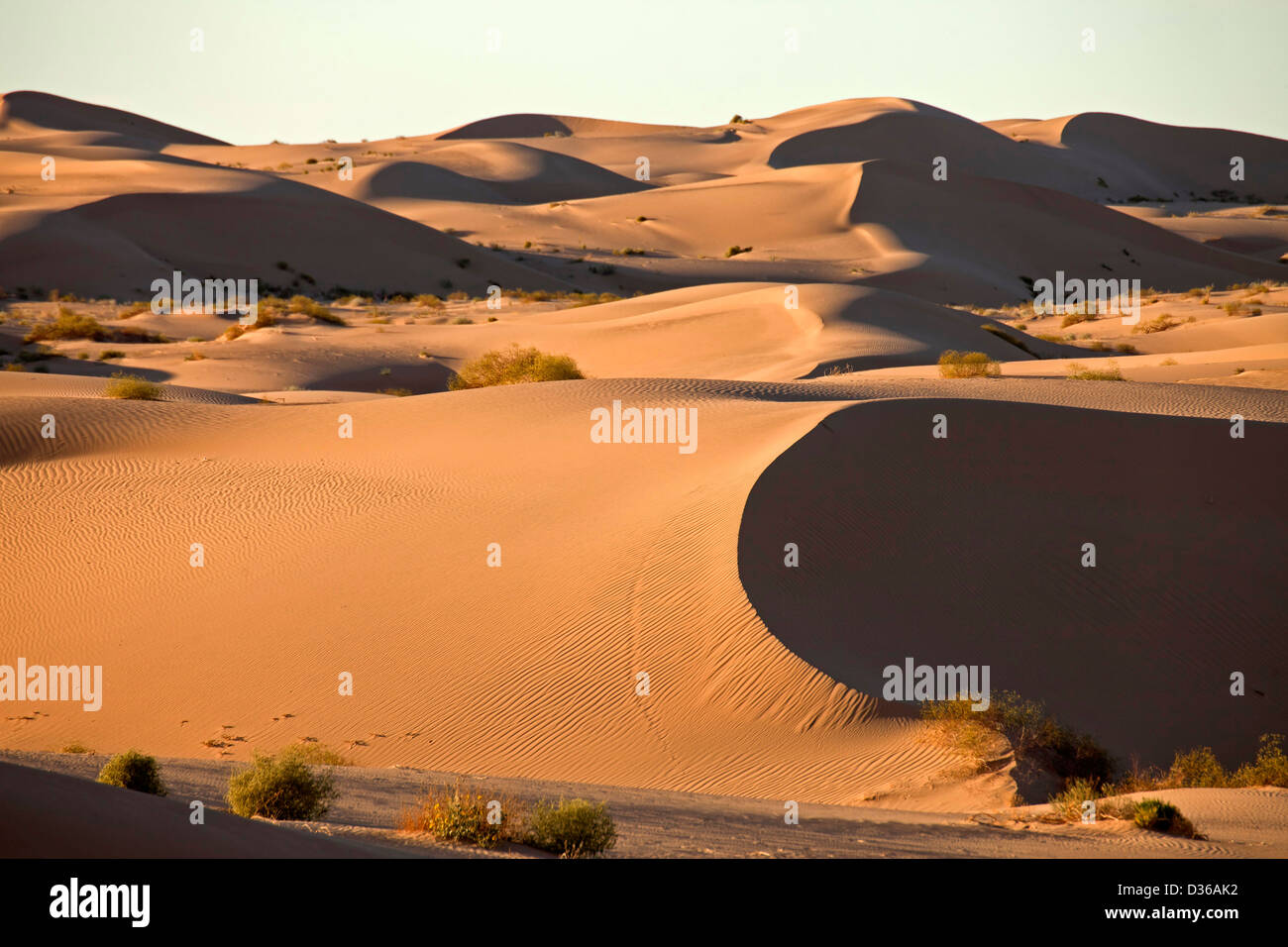 Algodones Dunes High Resolution Stock Photography and Images Alamy