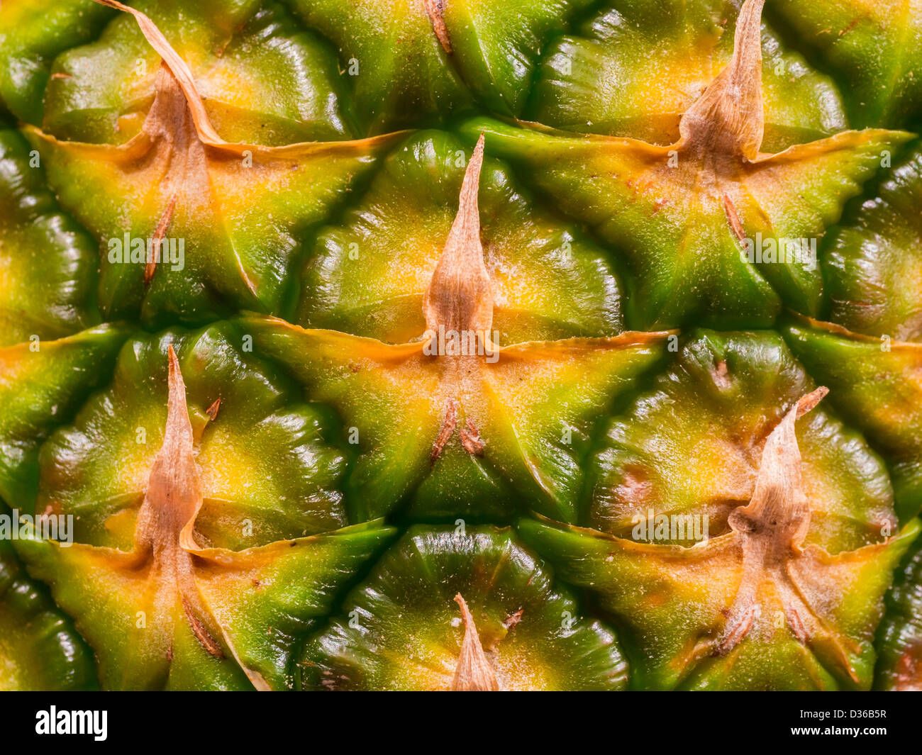 Close-up details of the skin of a fresh pineapple fruit (Ananas comosus). Stock Photo