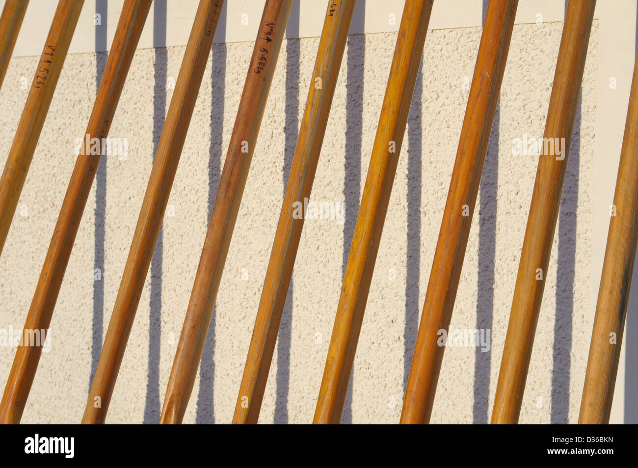 Traditional wooden oars from a racing skiff (rowing boat) drying in the sun, and making a pattern with their shadows. Stock Photo