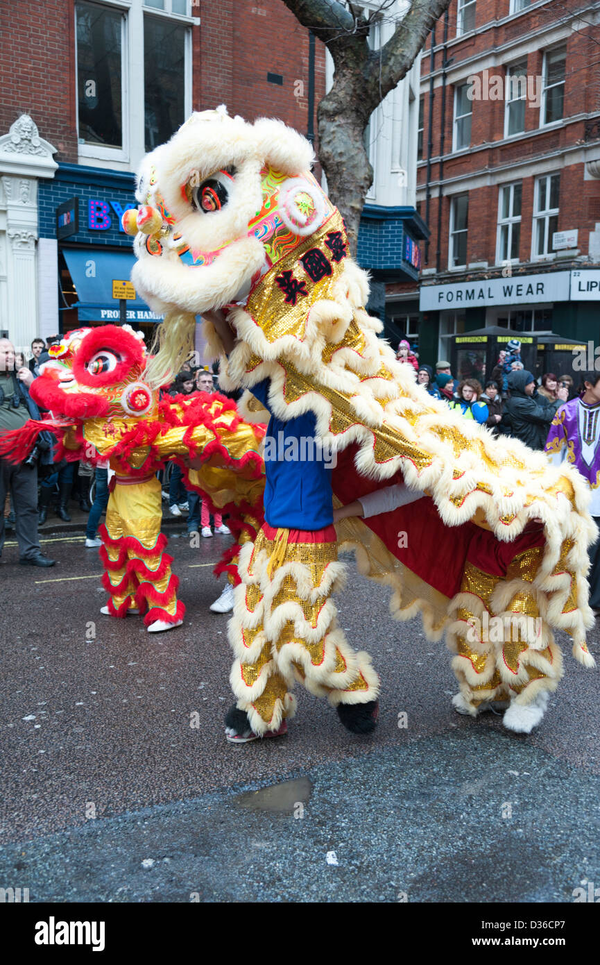 dn chinese new year costume