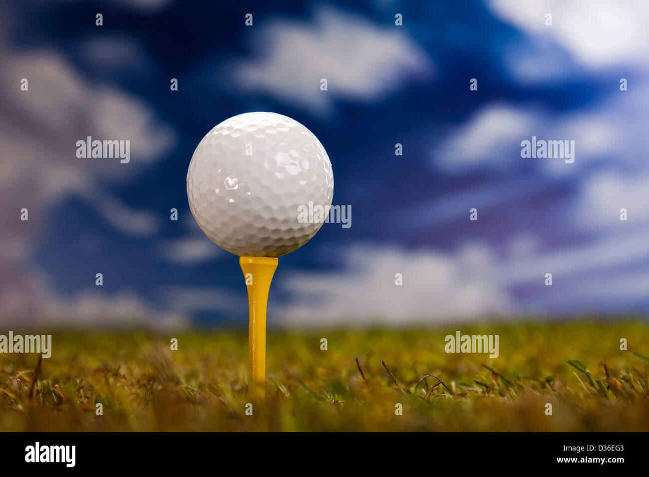 Golf ball on tee Stock Photo