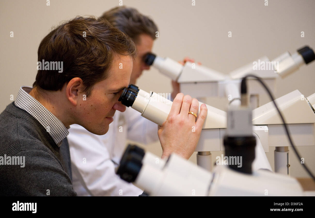 Weischenfeldt hires stock photography and images Alamy