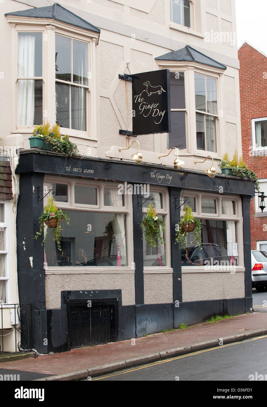The Ginger Dog pub and restaurant in Kemptown Brighton UK Stock Photo