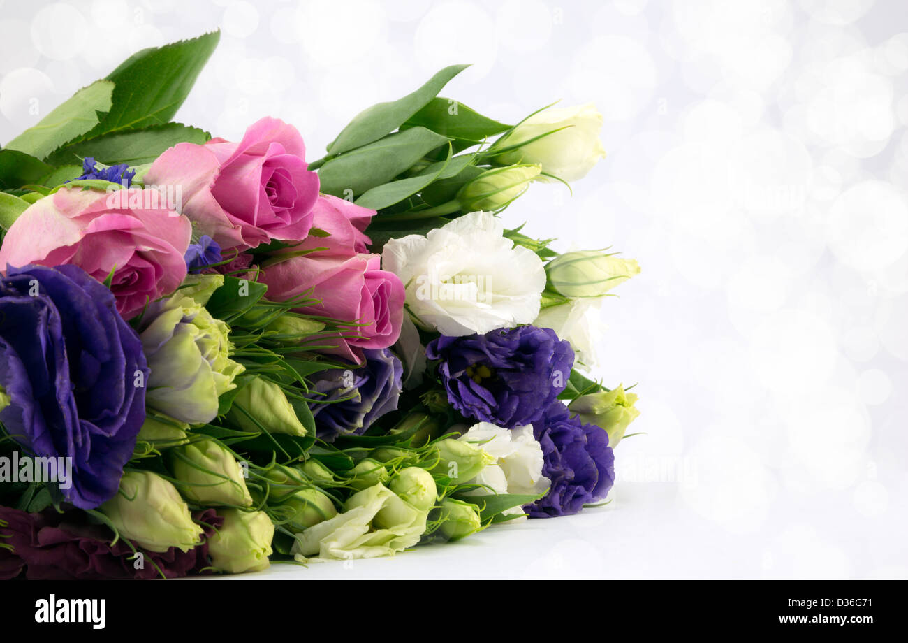 Bouquet of blue,white and pink blooms with diffused background. Stock Photo