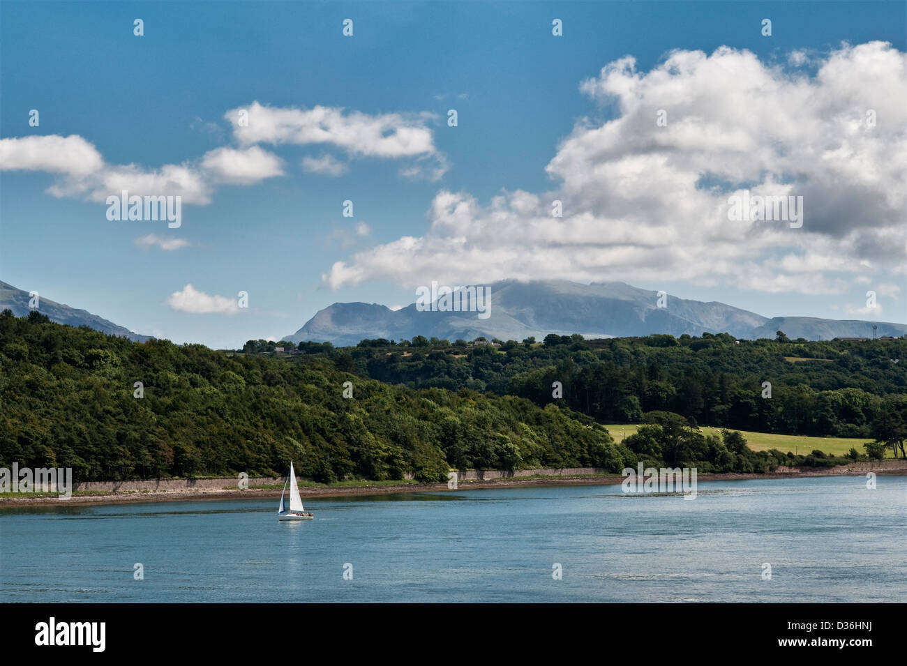 The gardens of Plas Newydd, Anglesey, Wales, UK, have spectacular views across the Menai Strait to the mountains of Snowdonia in north Wales Stock Photo