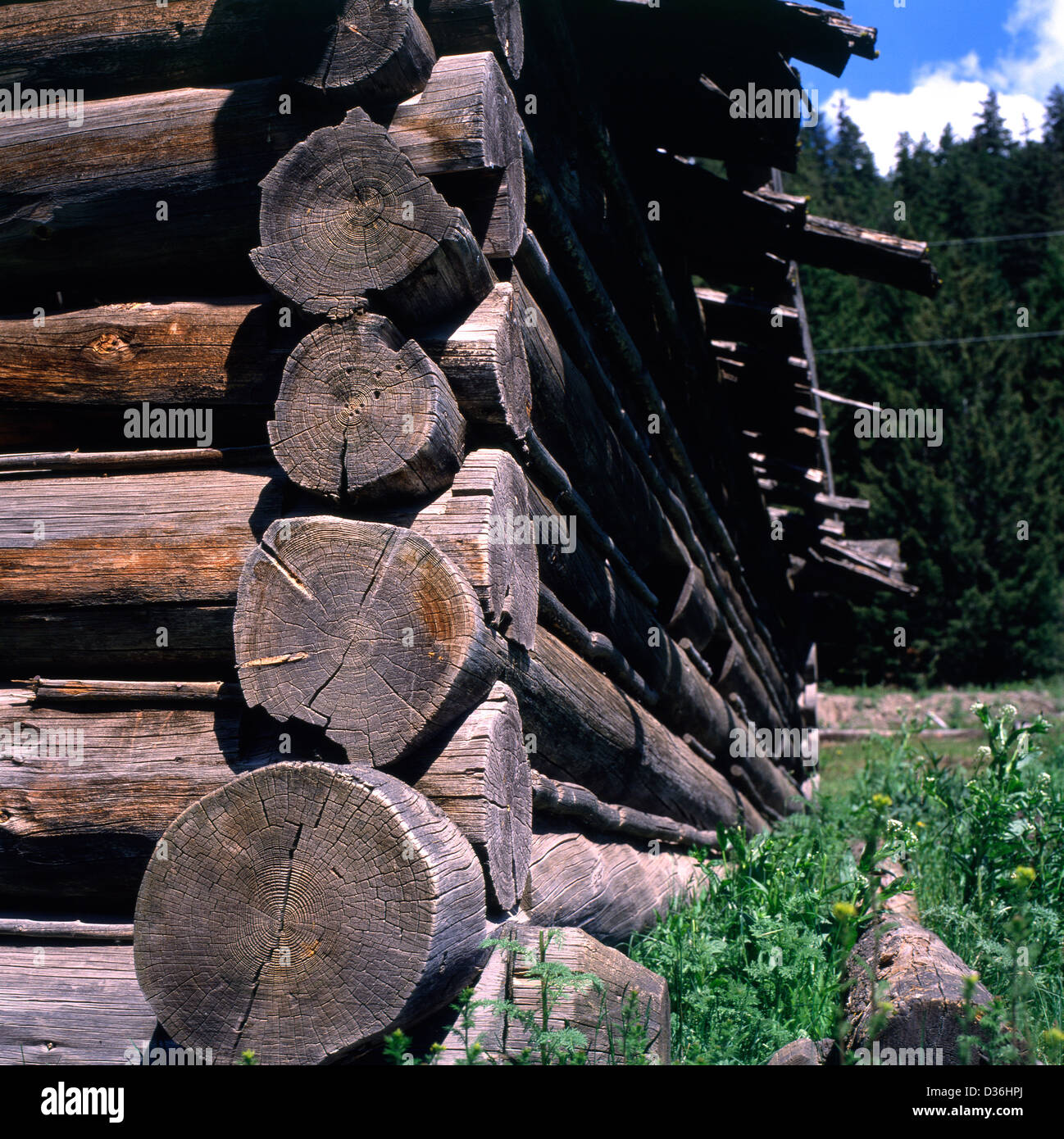 Detail of the corner of an abandoned log cabin building in rural