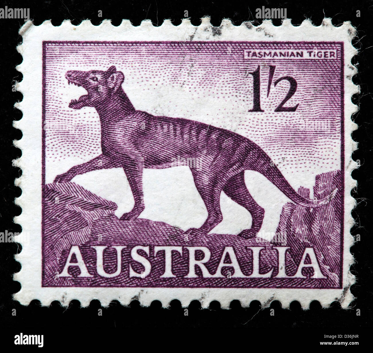 Tasmanian tiger, postage stamp, Australia, 1959 Stock Photo