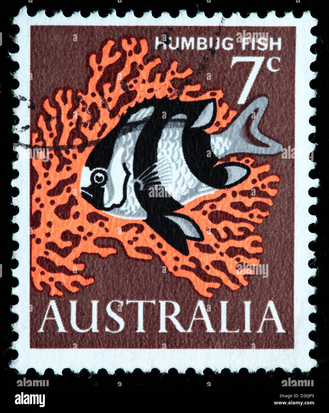 Humbug fish, postage stamp, Australia, 1963 Stock Photo