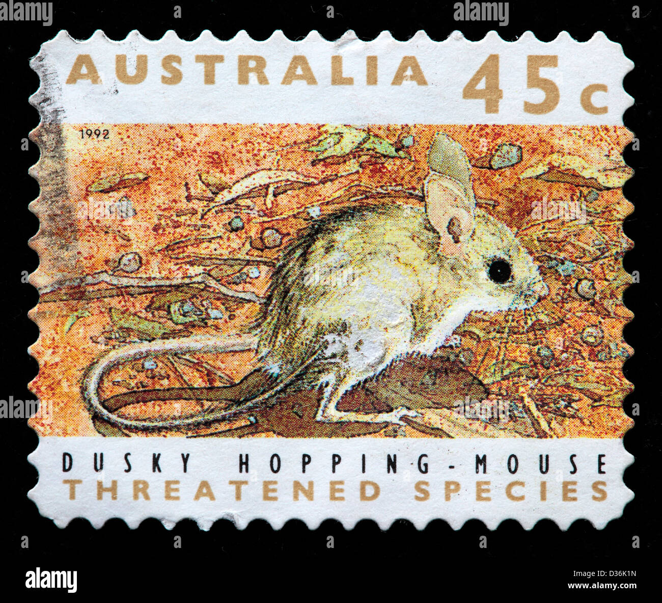 Dusky hopping-mouse, postage stamp, Australia, 1992 Stock Photo