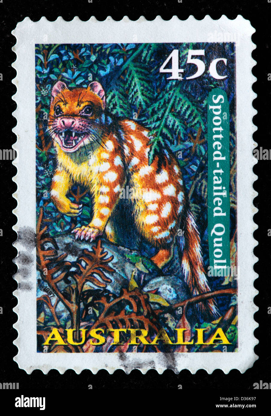 Spotted-tailed quoll, postage stamp, Australia, 1997 Stock Photo