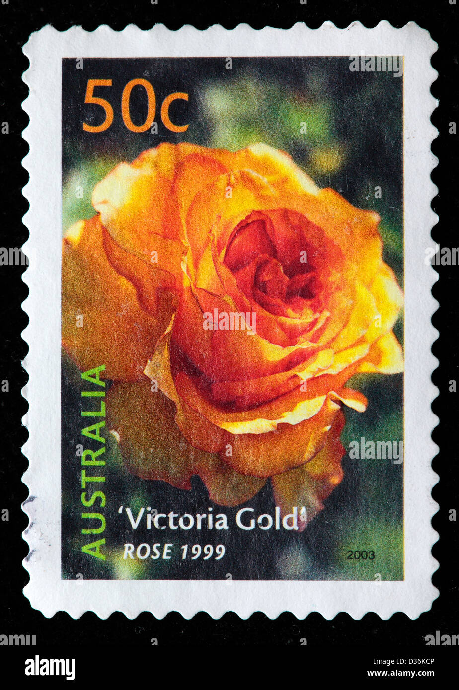 Gold rose hires stock photography and images Alamy