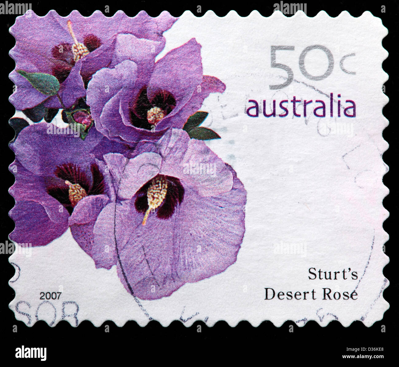 Sturt's desert rose, postage stamp, Australia, 2007 Stock Photo