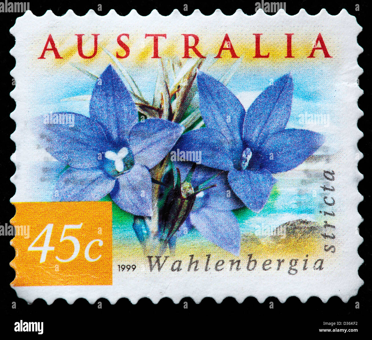 Wahlenbergia stricta, postage stamp, Australia, 1999 Stock Photo