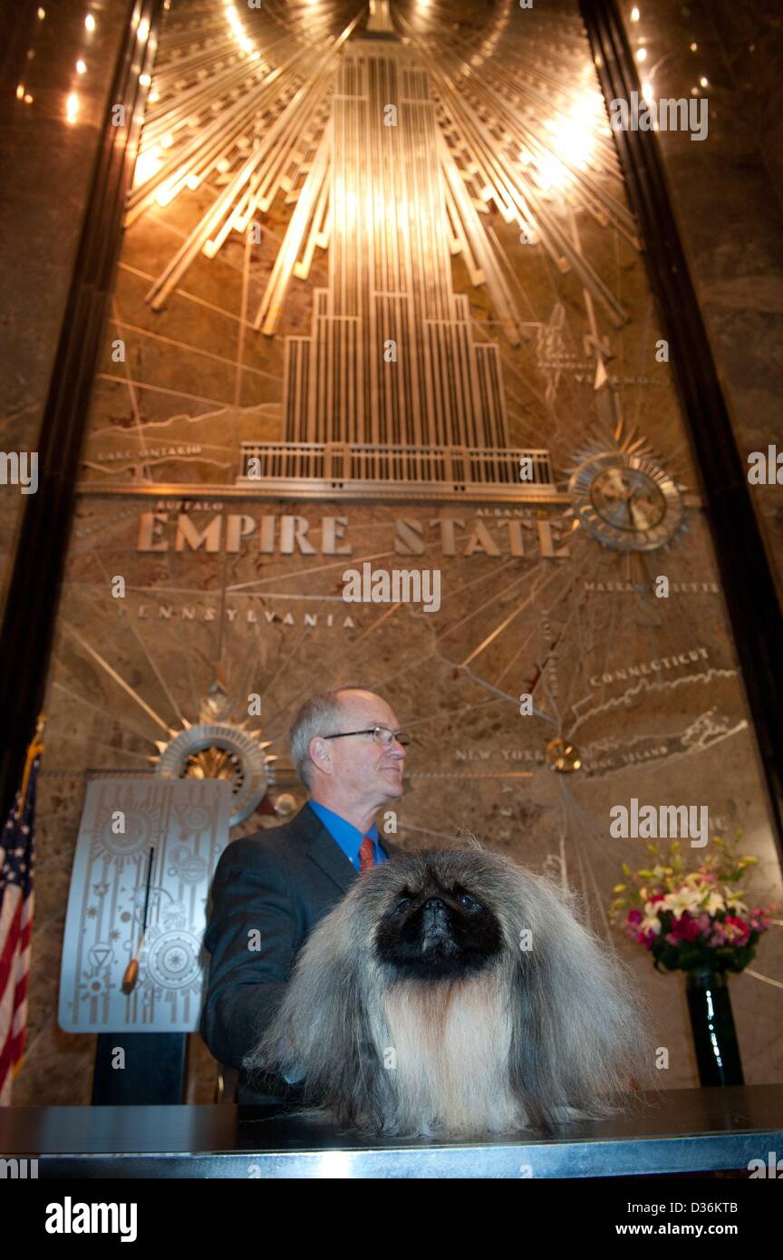 New York, New York, U.S. 11th Feb, 2013. The 2012 Westminster Kennel