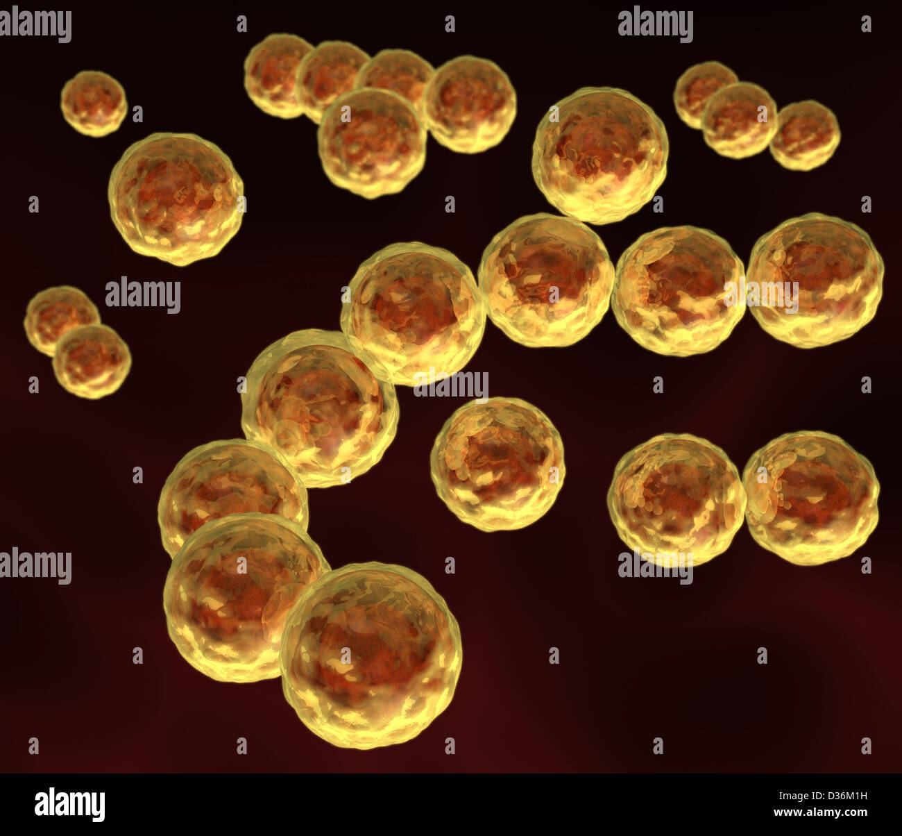 3d rendered group of coccus bacteria Stock Photo - Alamy