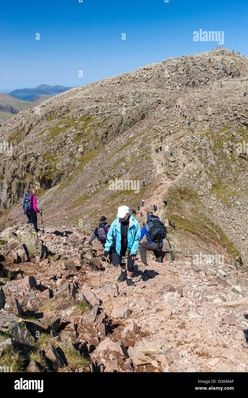 Walkers walking along path to Scafell Pike in the Lake District National Park, Cumbria, England, UK, Europe. Stock Photo