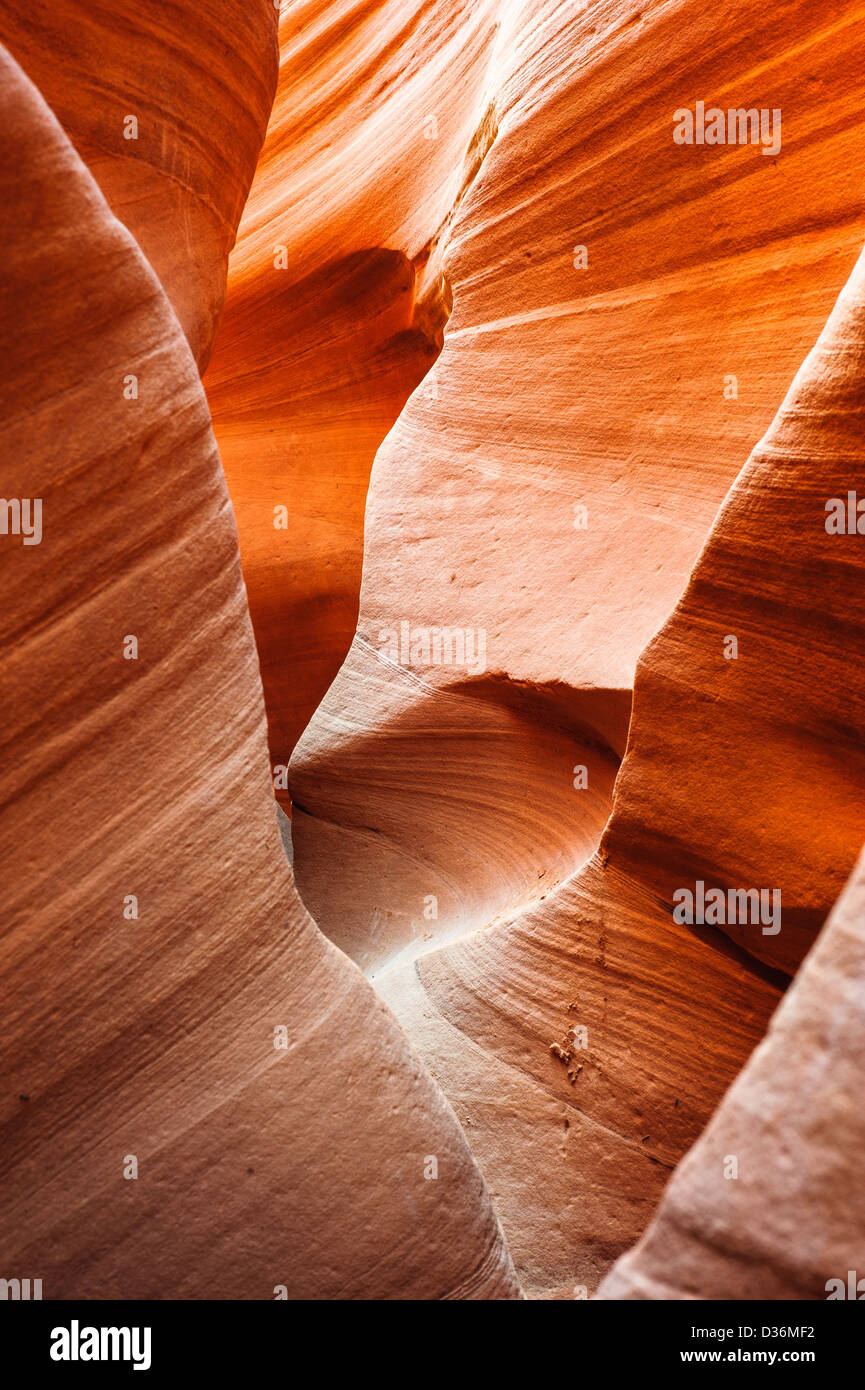 Peek-A-Boo slot canyon, Hole in a Rock road, Grand Staircase National Monument, Utah, USA Stock Photo