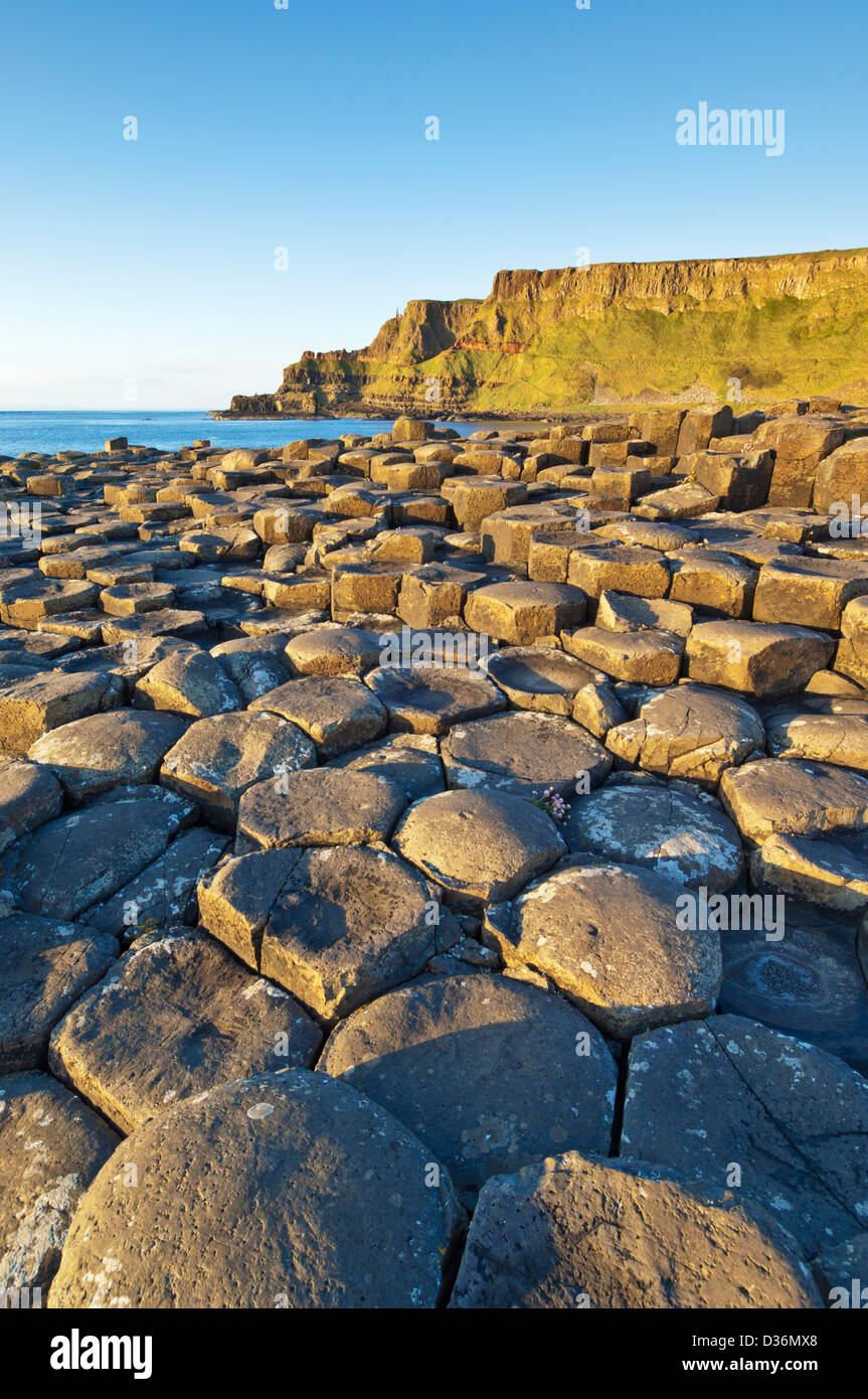 hexangonal basalt columns of the Giants Causeway north Antrim coast County Antrim Northern Ireland GB UK EU Europe Stock Photo