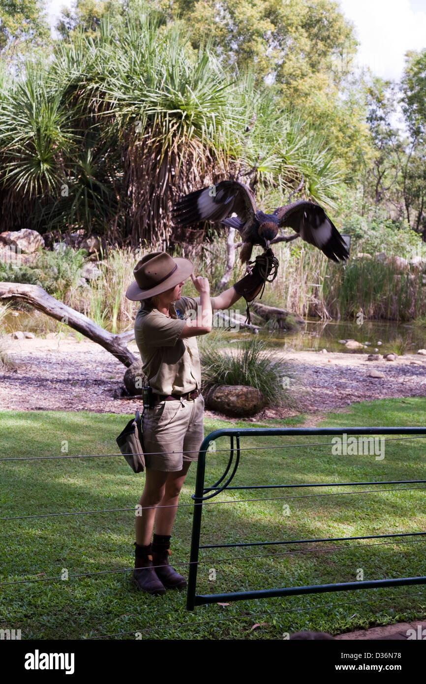 Birds of Prey Show at the Flight Deck, Territory Wildlife Park, Berry ...