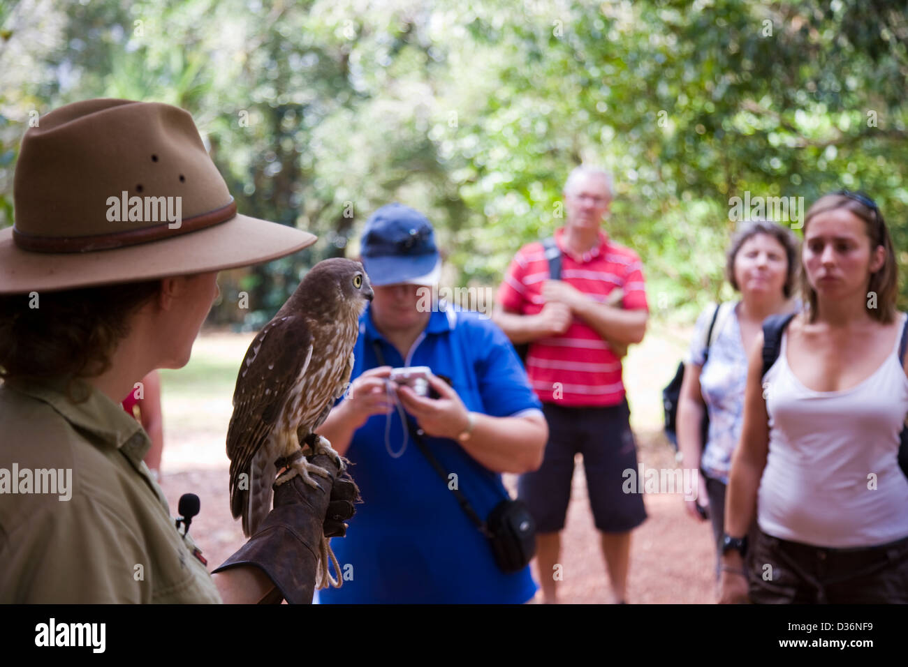 Birds of Prey Show at the Flight Deck, Territory Wildlife Park, Berry ...