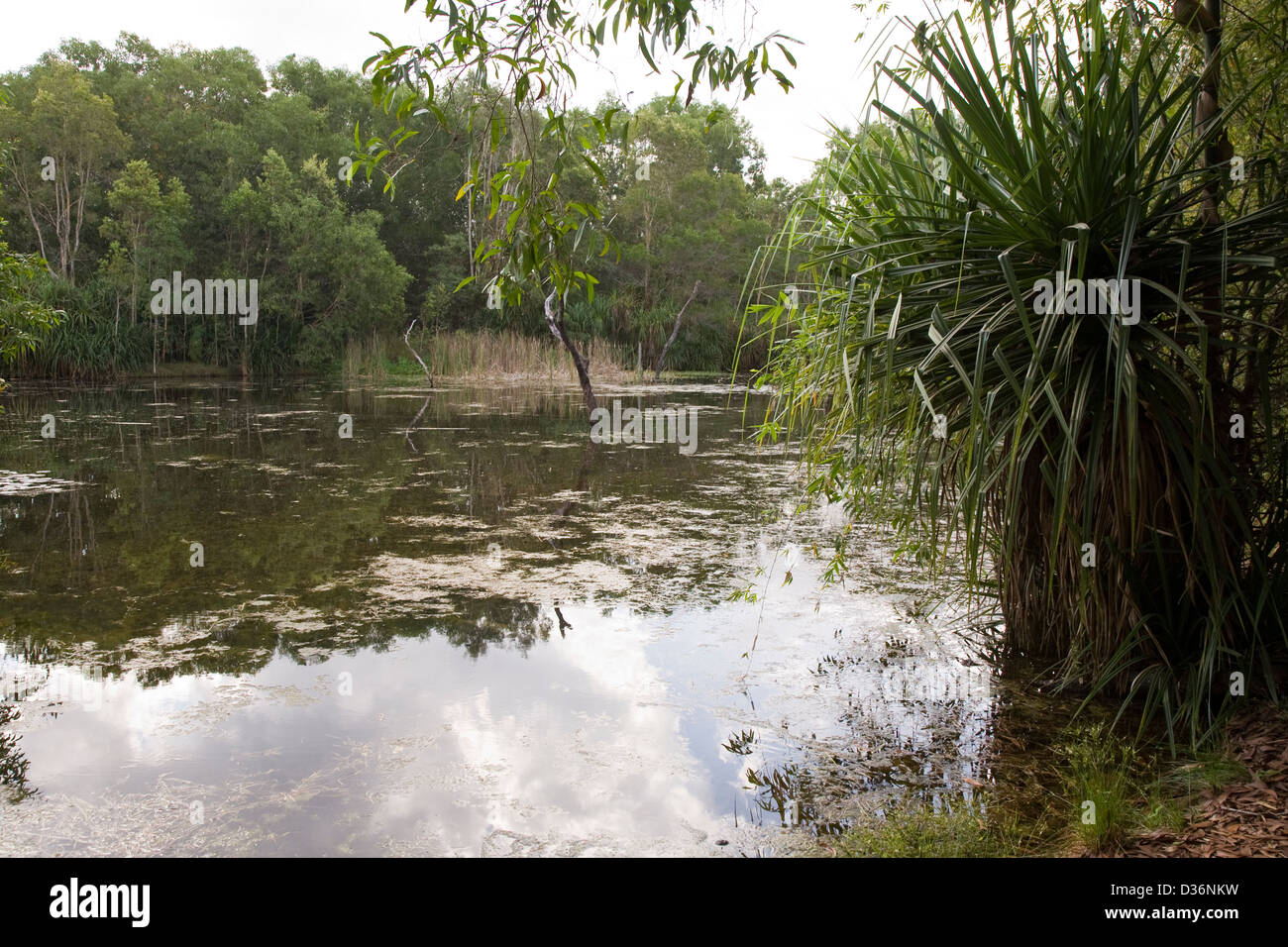 Territory Wildlife Park, Berry Springs, Northern Territory, Australia