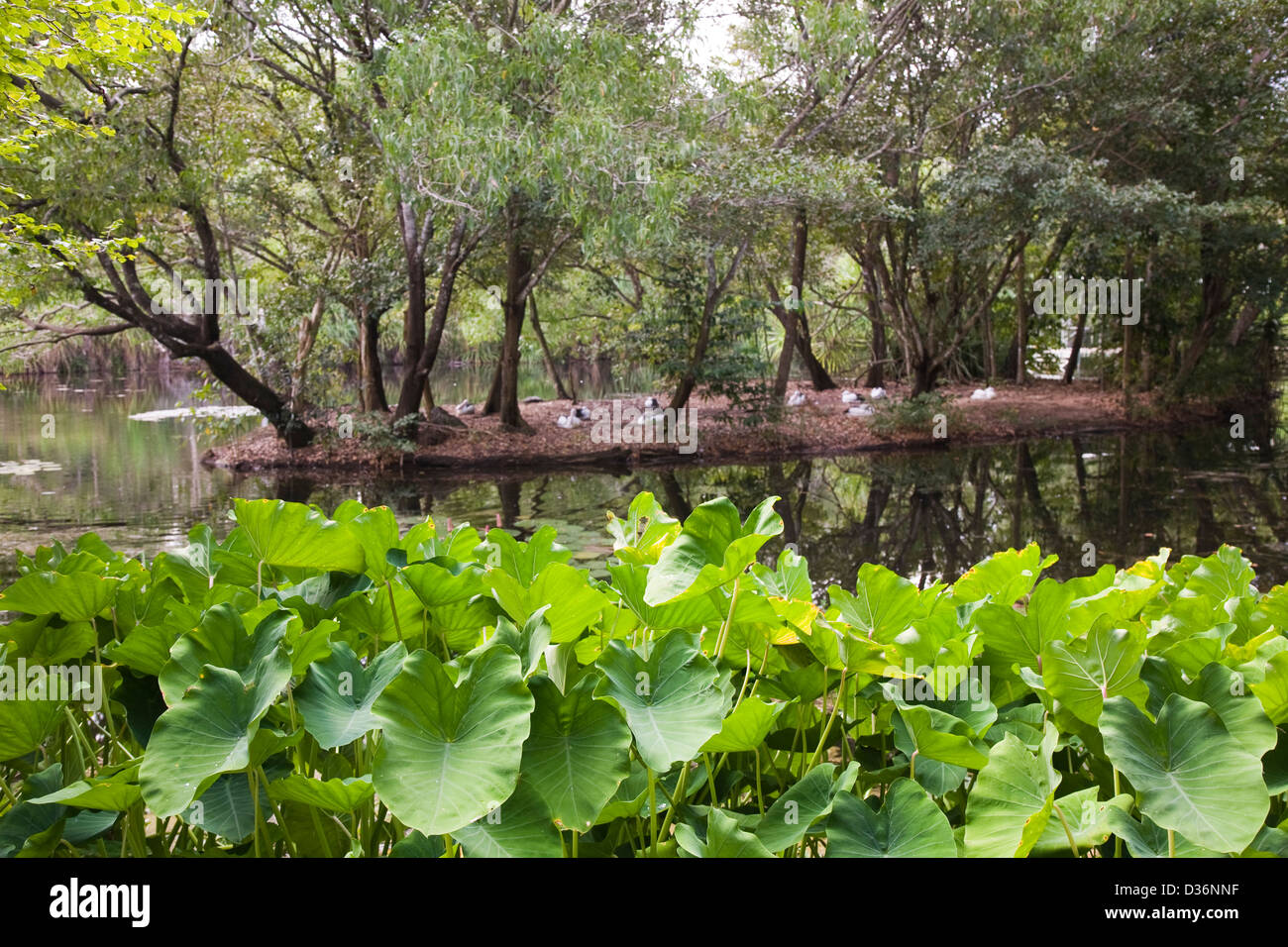 Territory Wildlife Park, Berry Springs, Northern Territory, Australia